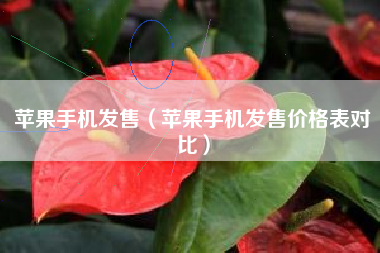 苹果手机发售(苹果手机发售价格表对比)