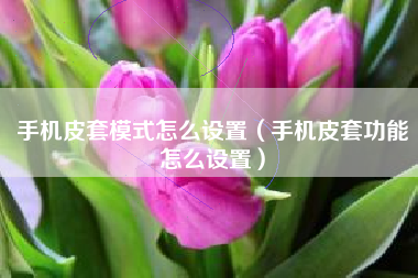 手机皮套模式怎么设置(手机皮套功能怎么设置)