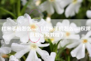 红米手机怎么root(红米手机怎么root权限获取视频教程)
